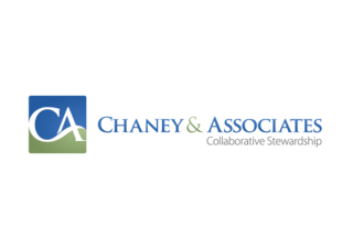 Chaney & Associates company logo