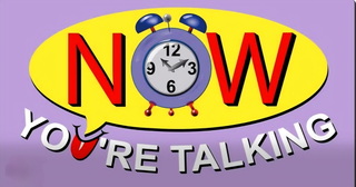 Now You're Talking, LLC company logo
